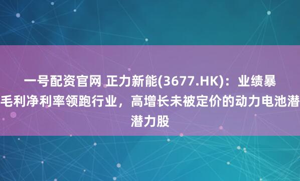 一号配资官网 正力新能(3677.HK)：业绩暴增、毛利净利率领跑行业，高增长未被定价的动力电池潜力股